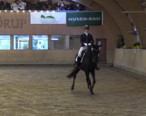 Reitturnier Sörup 2023