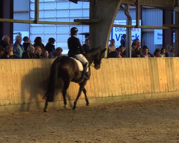 Reitturnier Sörup 2023