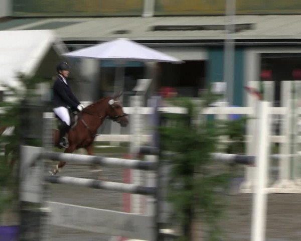 Reitturnier Mildstedt - JTN 2023