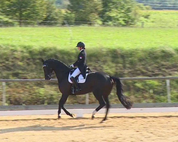 Reitturnier Altentrüdingen/Mfr. 2023