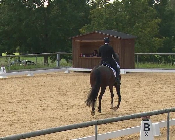 Reitturnier Altentrüdingen/Mfr. 2023