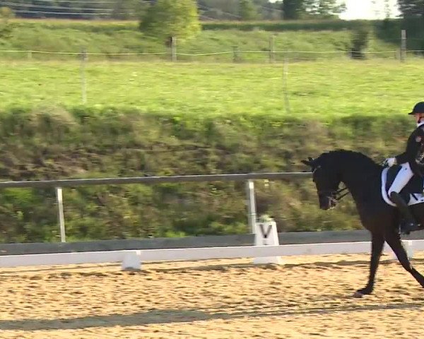 Reitturnier Altentrüdingen/Mfr. 2023