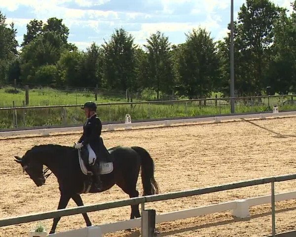 Reitturnier Altentrüdingen/Mfr. 2023