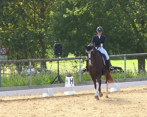 Reitturnier Altentrüdingen/Mfr. 2023