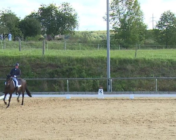 Reitturnier Altentrüdingen/Mfr. 2023