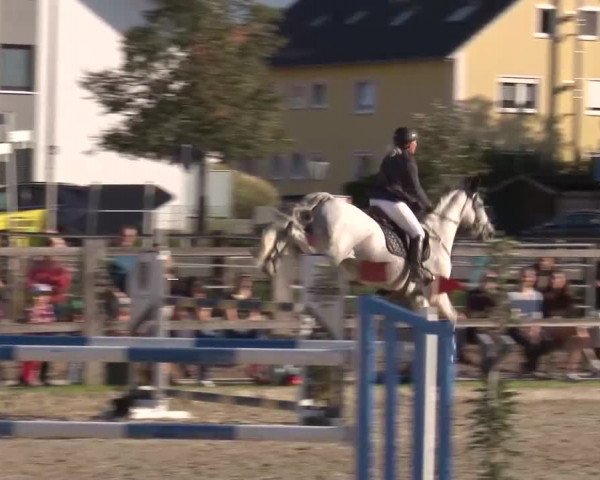 Reitturnier Poxdorf/Ofr 2023
