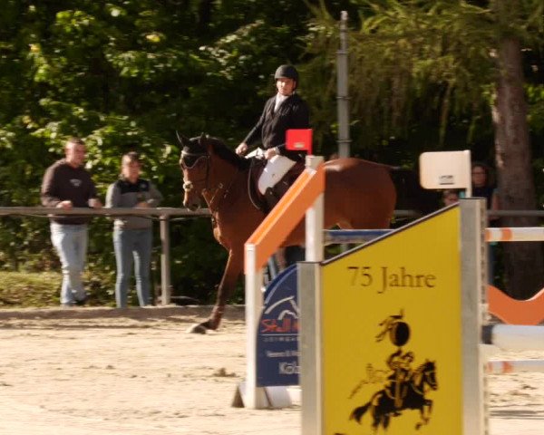 Reitturnier Leingarten 2023