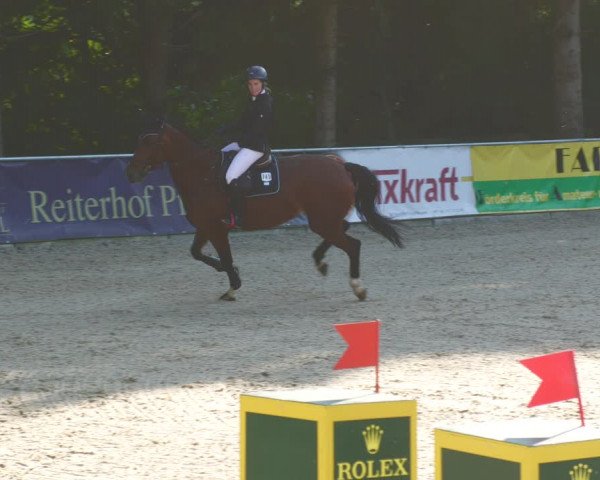 Reitturnier Karlsfeld 2023