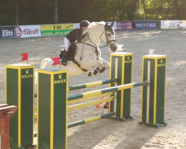 Reitturnier Karlsfeld 2023