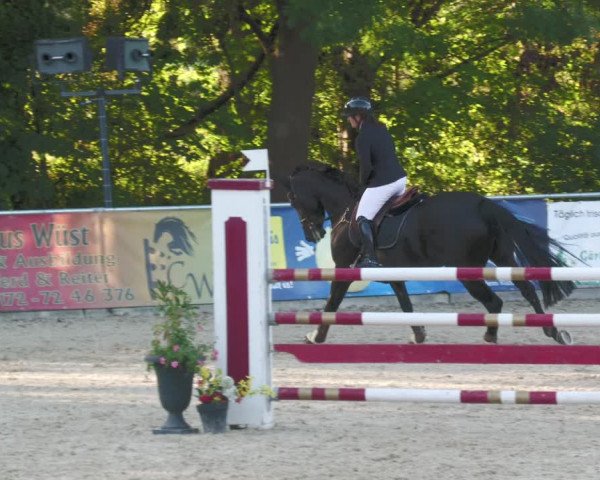 Reitturnier Karlsfeld 2023