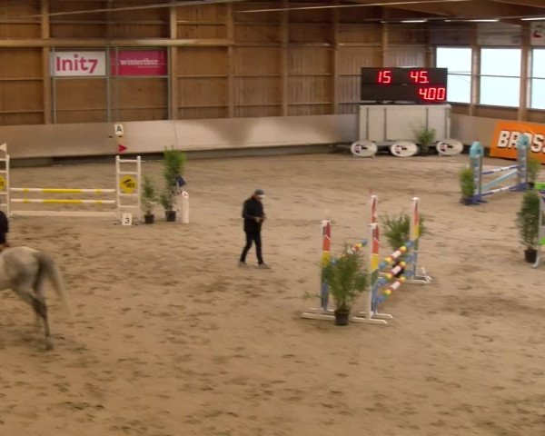 Reitturnier Winterthur 2023