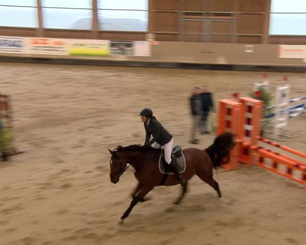 Reitturnier Winterthur 2023