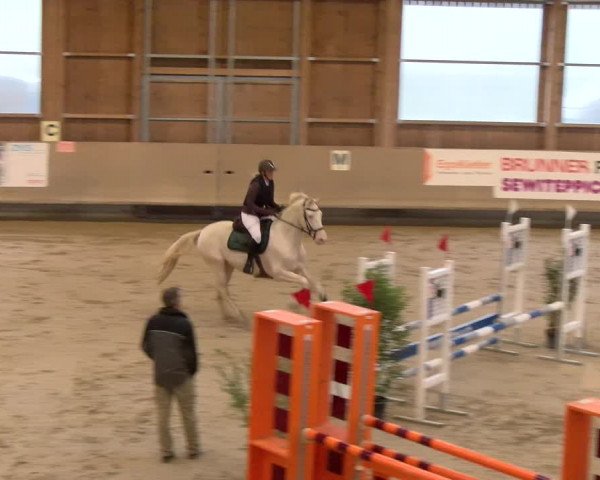 Reitturnier Winterthur 2023