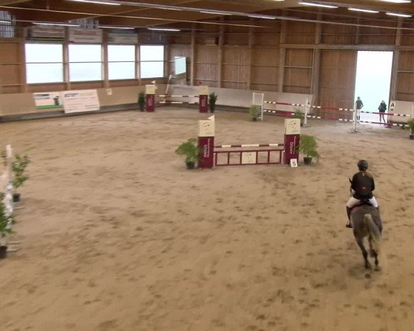Reitturnier Winterthur 2023