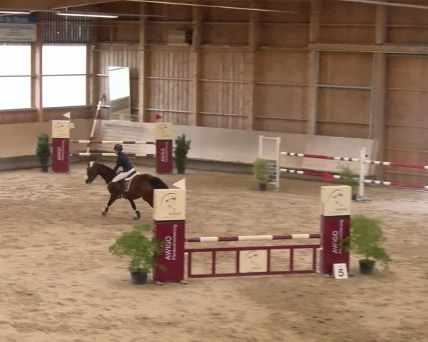 Reitturnier Winterthur 2023