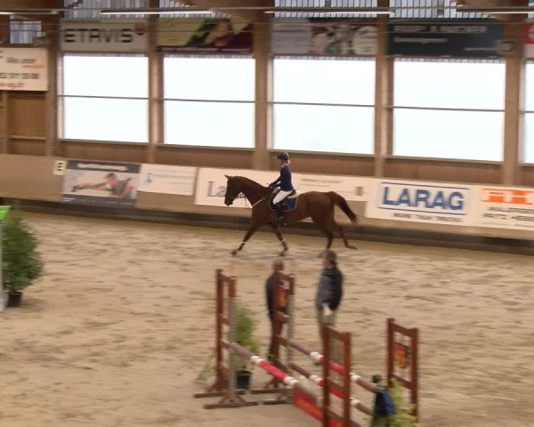 Reitturnier Winterthur 2023