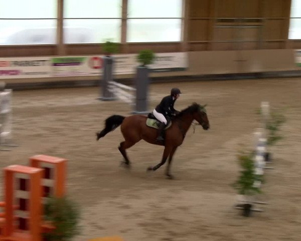 Reitturnier Winterthur 2023