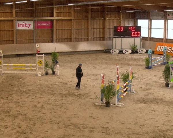Reitturnier Winterthur 2023