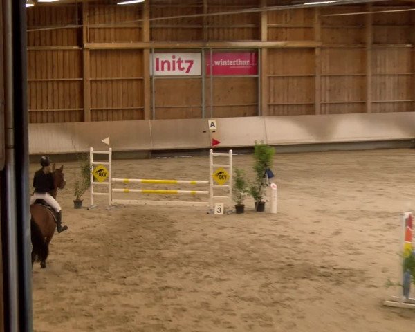 Reitturnier Winterthur 2023