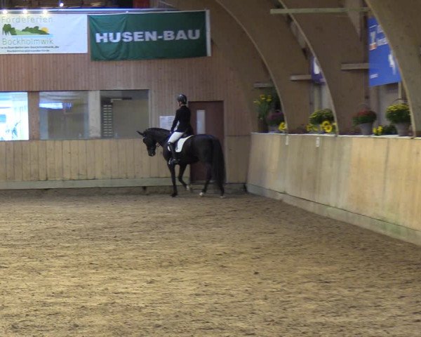 Reitturnier Sörup 2023