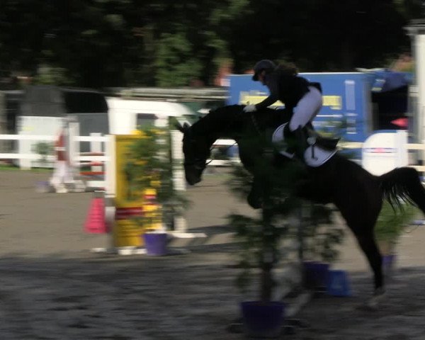 Reitturnier Mildstedt - JTN 2023