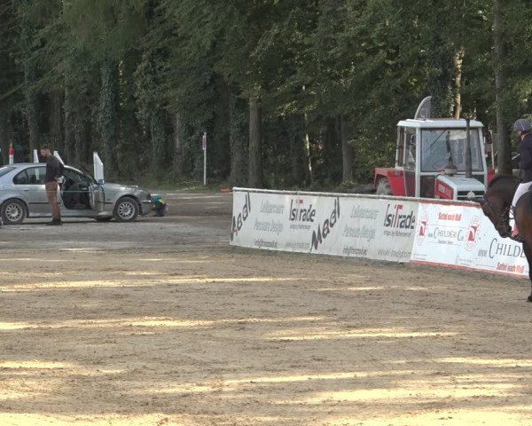 Reitturnier Ranshofen - Braunau am Inn 2023