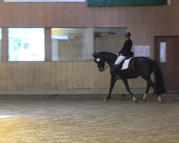 Reitturnier Sörup 2023