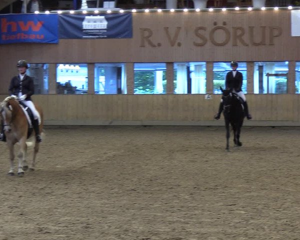 Reitturnier Sörup 2023