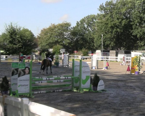 Reitturnier Mildstedt - JTN 2023