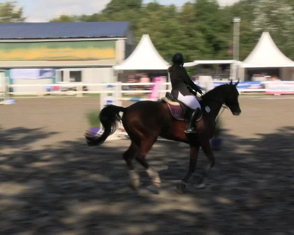 Reitturnier Mildstedt - JTN 2023