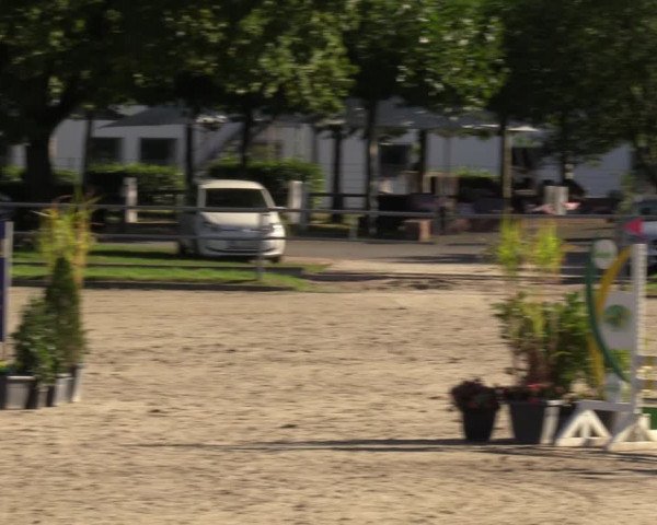 Reitturnier Langenfeld - Gut Langfort 2023
