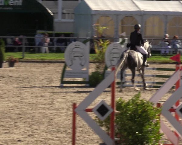 Reitturnier Langenfeld - Gut Langfort 2023