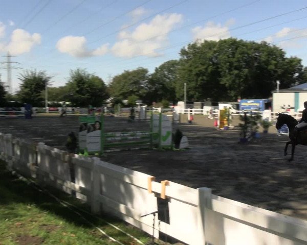 Reitturnier Mildstedt - JTN 2023