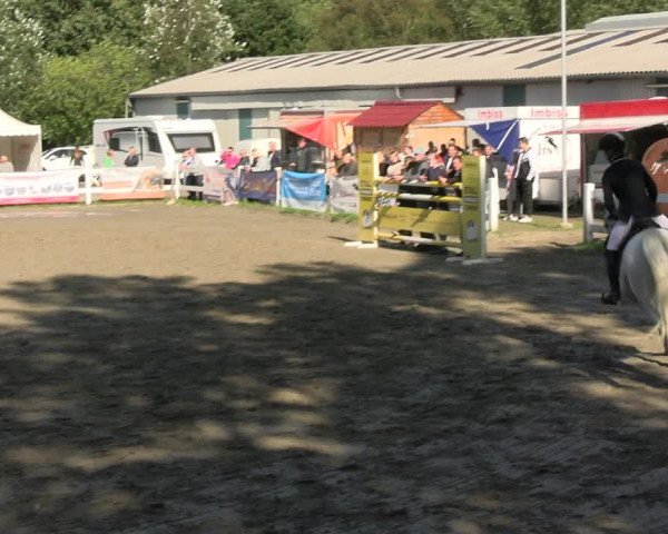 Reitturnier Mildstedt - JTN 2023