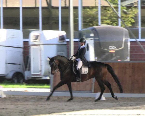 Reitturnier Langenfeld - Gut Langfort 2023