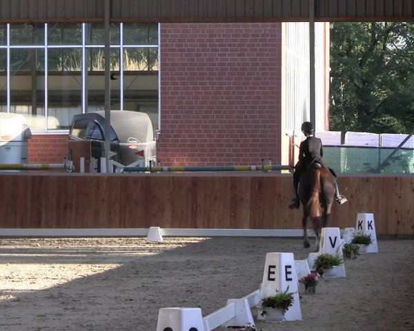 Reitturnier Langenfeld - Gut Langfort 2023