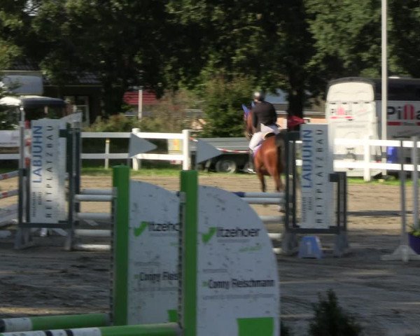 Reitturnier Mildstedt - JTN 2023