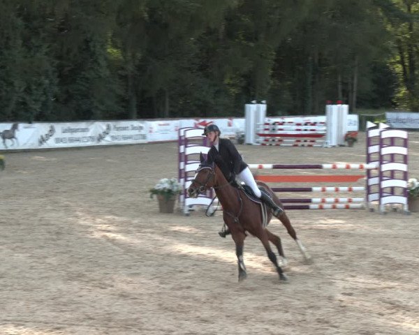 Reitturnier Ranshofen - Braunau am Inn 2023