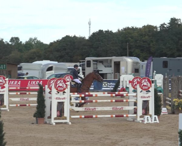Reitturnier Ranshofen - Braunau am Inn 2023