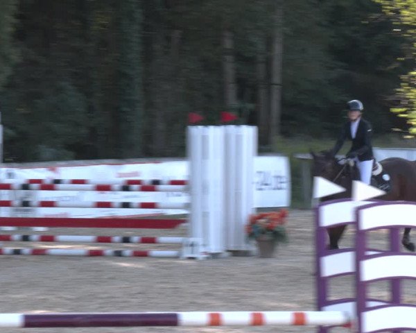 Reitturnier Ranshofen - Braunau am Inn 2023
