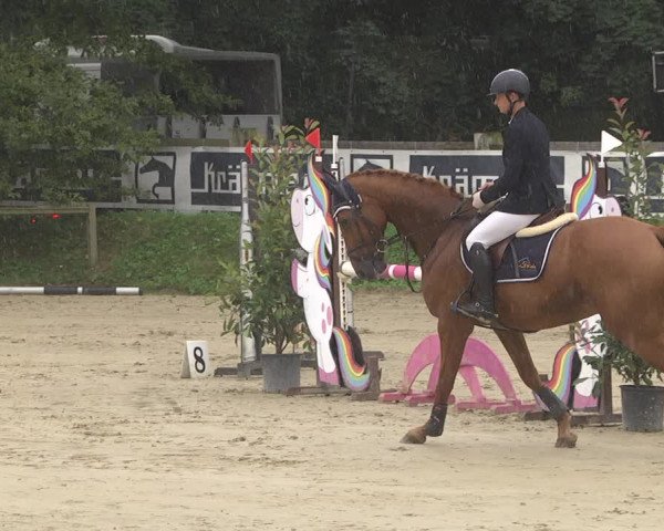 Springturnier Walldorf/Winterheck 2021