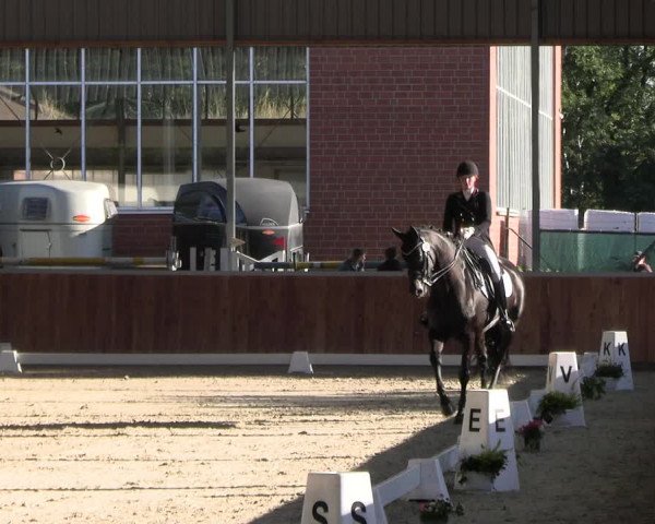 Reitturnier Langenfeld - Gut Langfort 2023