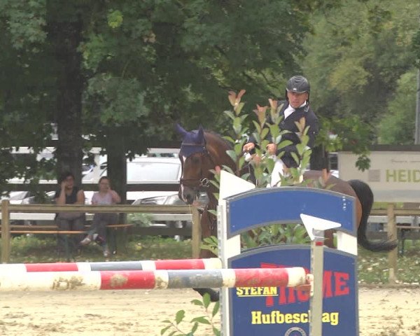 Springturnier Walldorf/Winterheck 2021