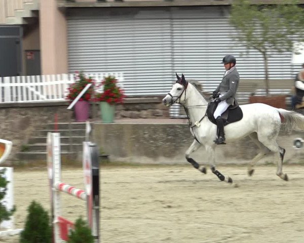 Erntedank Springturnier Nörten-Hardenberg 2021