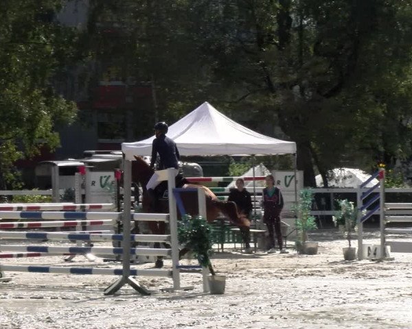 Reitturnier Stadt Bregenz 2023