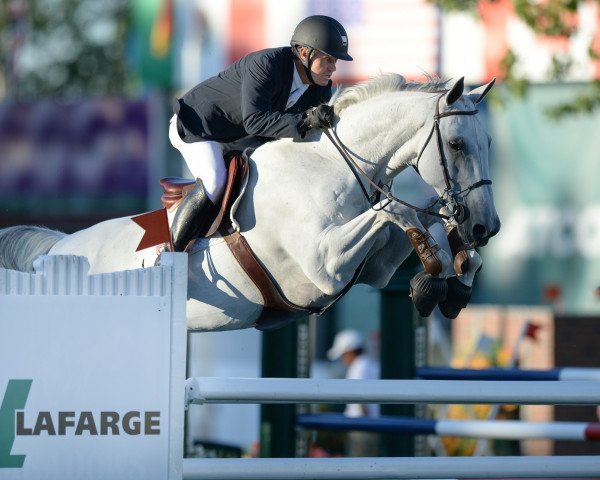 jumper Galileo de Laubry (Belgian Warmblood, 2006, from VDL Cardento 933)