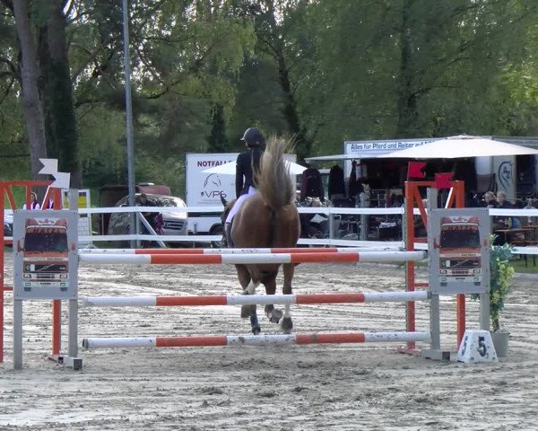 Reitturnier Stadt Bregenz 2023