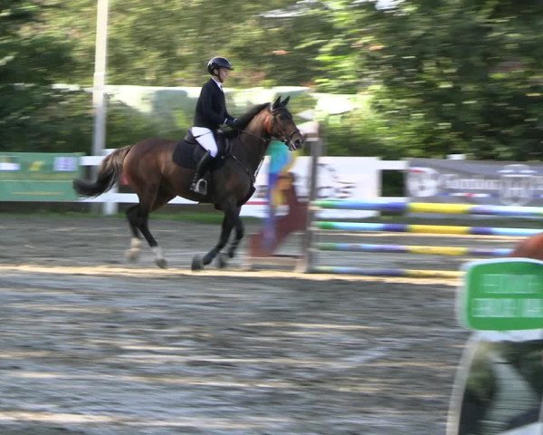 Reitturnier Mildstedt - JTN 2023