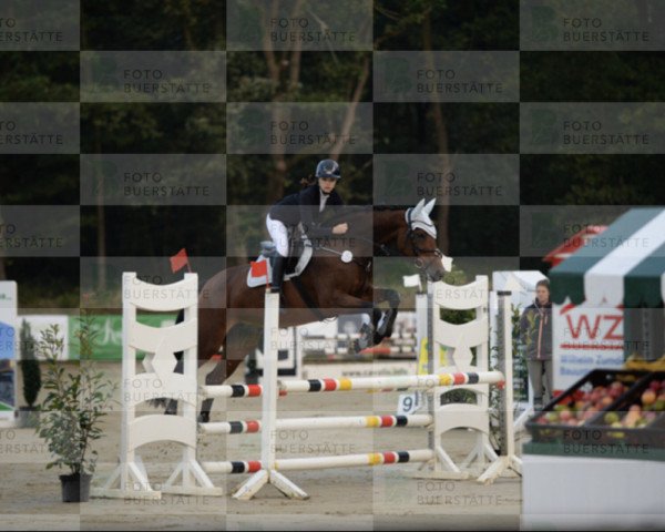 jumper Chica de La Luna Lh (Westphalian, 2008, from Conteur)