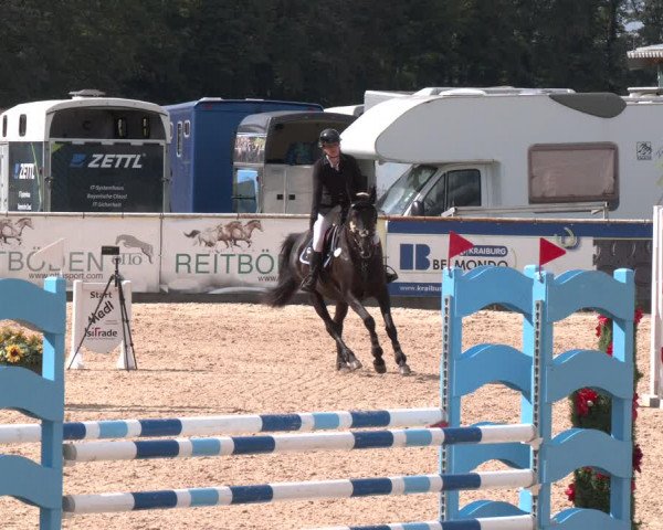 Reitturnier Ranshofen - Braunau am Inn 2023
